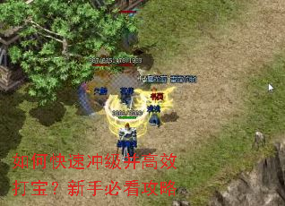 ��ο��ٳ弶����Ч�򱦣����ֱؿ�����