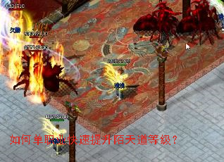 ��ε�ְҵ��������İ����ȼ���