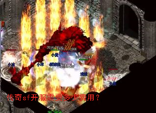 ����sf������Ҫ���ٷ��ã�