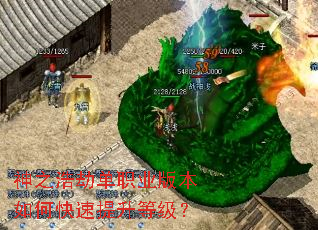 ��֮�ƽٵ�ְҵ�汾��ο��������ȼ���