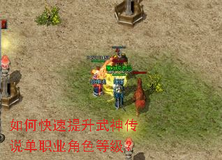 ��ο�����������˵��ְҵ��ɫ�ȼ���