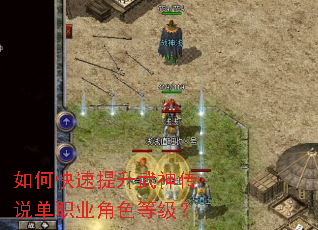 ��ο�����������˵��ְҵ��ɫ�ȼ���