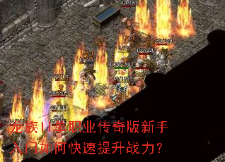 ����II��ְҵ���������������ο�������ս����