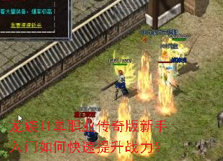 ����II��ְҵ���������������ο�������ս����