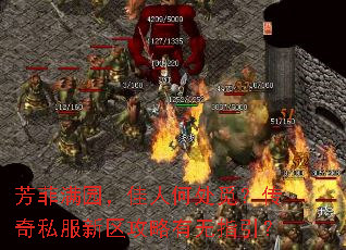 ������԰�����˺δ��٣�����˽��������������ָ����