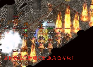 如何快速提升遗忘新服角色等级? 如何快速提升遗忘新服角色等级?