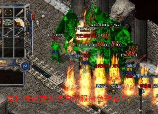 如何快速提升遗忘新服角色等级? 如何快速提升遗忘新服角色等级?