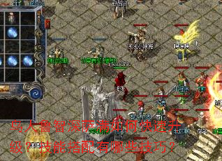 ����³����������ο������������ܴ�������Щ���ɣ�