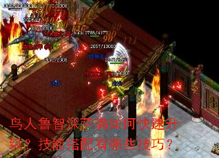 ����³����������ο������������ܴ�������Щ���ɣ�