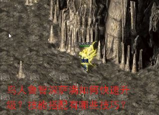 ����³����������ο������������ܴ�������Щ���ɣ�