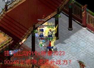 ��������9196�302300249��ο�������ս����