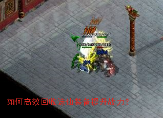 ��θ�Ч��������װ������ս����