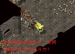 ���浥ְҵ�汾�У���ο���������ɫս������