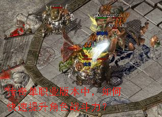 ���浥ְҵ�汾�У���ο���������ɫս������