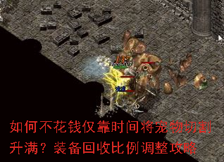 如何不花钱仅靠时间将宠物切割升满?装备回收比例调整攻略 如何不花钱仅靠时间将宠物切割升满?装备回收比例调整攻略