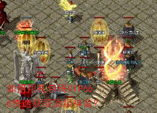 如何用礼包码VIP666快速获取顶级神装? 如何用礼包码VIP666快速获取顶级神装?