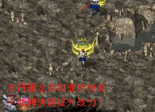 ĩ��������ְҵ����������ο�������ս����