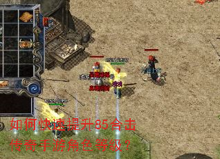 ��ο�������85�ϻ��������ν�ɫ�ȼ���