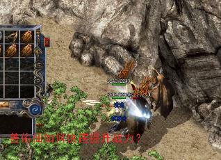 ��������ο�������ս����