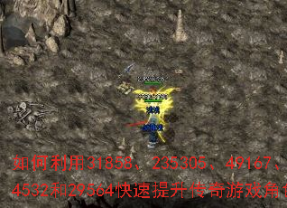 �������31858��235305��49167��4532��29564��������������Ϸ��ɫ�ȼ���