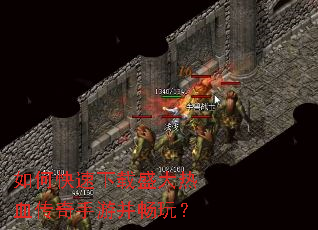 ��ο�������ʢ����Ѫ�������β����棿