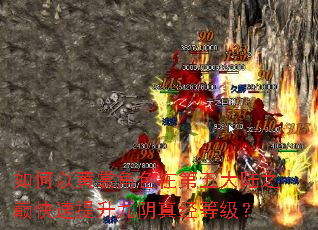 ����Ի��ѽ�ɫ�ڵ����½֮�ۿ������������澭�ȼ���