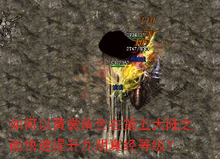 ����Ի��ѽ�ɫ�ڵ����½֮�ۿ������������澭�ȼ���