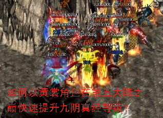 ����Ի��ѽ�ɫ�ڵ����½֮�ۿ������������澭�ȼ���