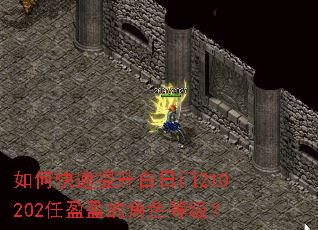 ��ο�������������210202��ӯӯ�Ľ�ɫ�ȼ���