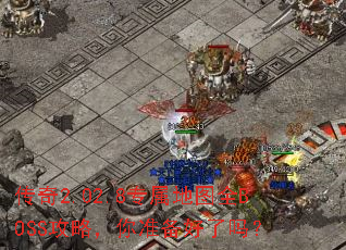 ����2.02.8ר����ͼȫBOSS���ԣ���׼��������