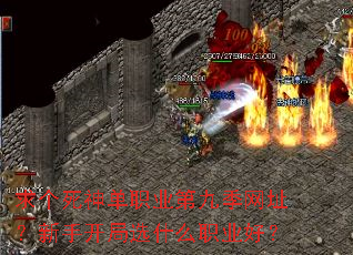 �������ְҵ�ھż���ַ�����ֿ���ѡʲôְҵ�ã�