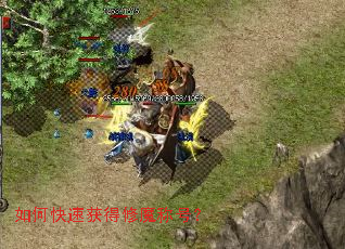 ��ο��ٻ����ħ�ƺţ�