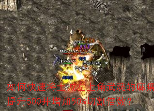 ��ο��ٽ��������Ͻ�������Եȼ�����500������50%�и����