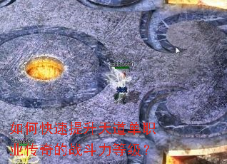 ��ο������������ְҵ�����ս�����ȼ���