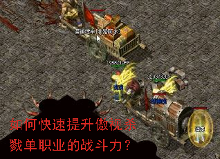 ��ο�����������ɱ¾��ְҵ��ս������