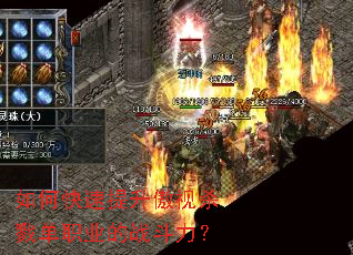 ��ο�����������ɱ¾��ְҵ��ս������