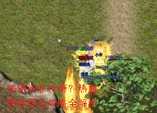 ����ʶ����棿��Ѫ�ഺð�չ���ȫ����