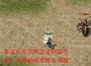 �����������Ϯ�ưԴ��棿�����۷幥��ȫ����