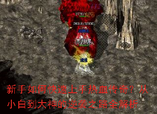 ������ο���������Ѫ���棿��С�׵��������Ϯ֮·ȫ����
