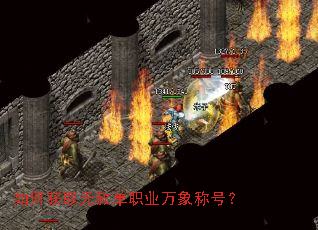 ��λ�ȡ���ⵥְҵ����ƺţ�