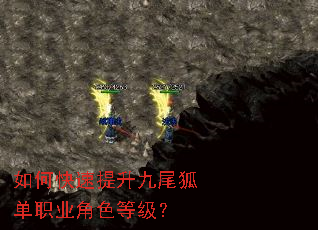 如何快速提升九尾狐单职业角色等级? 如何快速提升九尾狐单职业角色等级?
