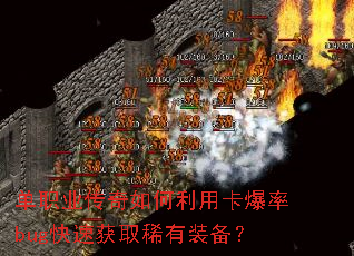 ��ְҵ����������ÿ�����bug���ٻ�ȡϡ��װ����
