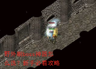 野外刷boss神器怎么选?新手必看攻略 野外刷boss神器怎么选?新手必看攻略