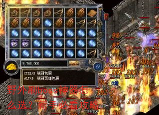 野外刷boss神器怎么选?新手必看攻略 野外刷boss神器怎么选?新手必看攻略