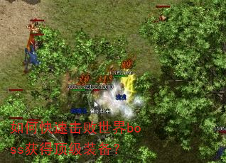 如何快速击败世界boss获得顶级装备? 如何快速击败世界boss获得顶级装备?