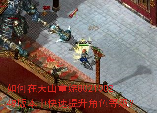如何在天山童姥802100249版本中快速提升角色等级? 如何在天山童姥802100249版本中快速提升角色等级?