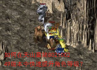如何在天山童姥802100249版本中快速提升角色等级? 如何在天山童姥802100249版本中快速提升角色等级?