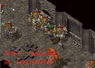 至尊星王魔剑称霸之路,究极攻略何在? 至尊星王魔剑称霸之路,究极攻略何在?