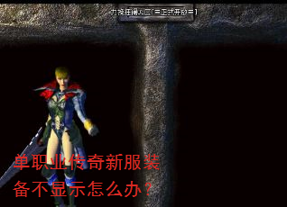 单职业传奇新服装备不显示怎么办? 单职业传奇新服装备不显示怎么办?