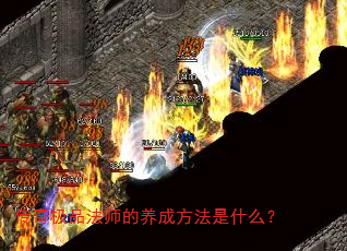 传奇极品法师的养成方法是什么? 传奇极品法师的养成方法是什么?